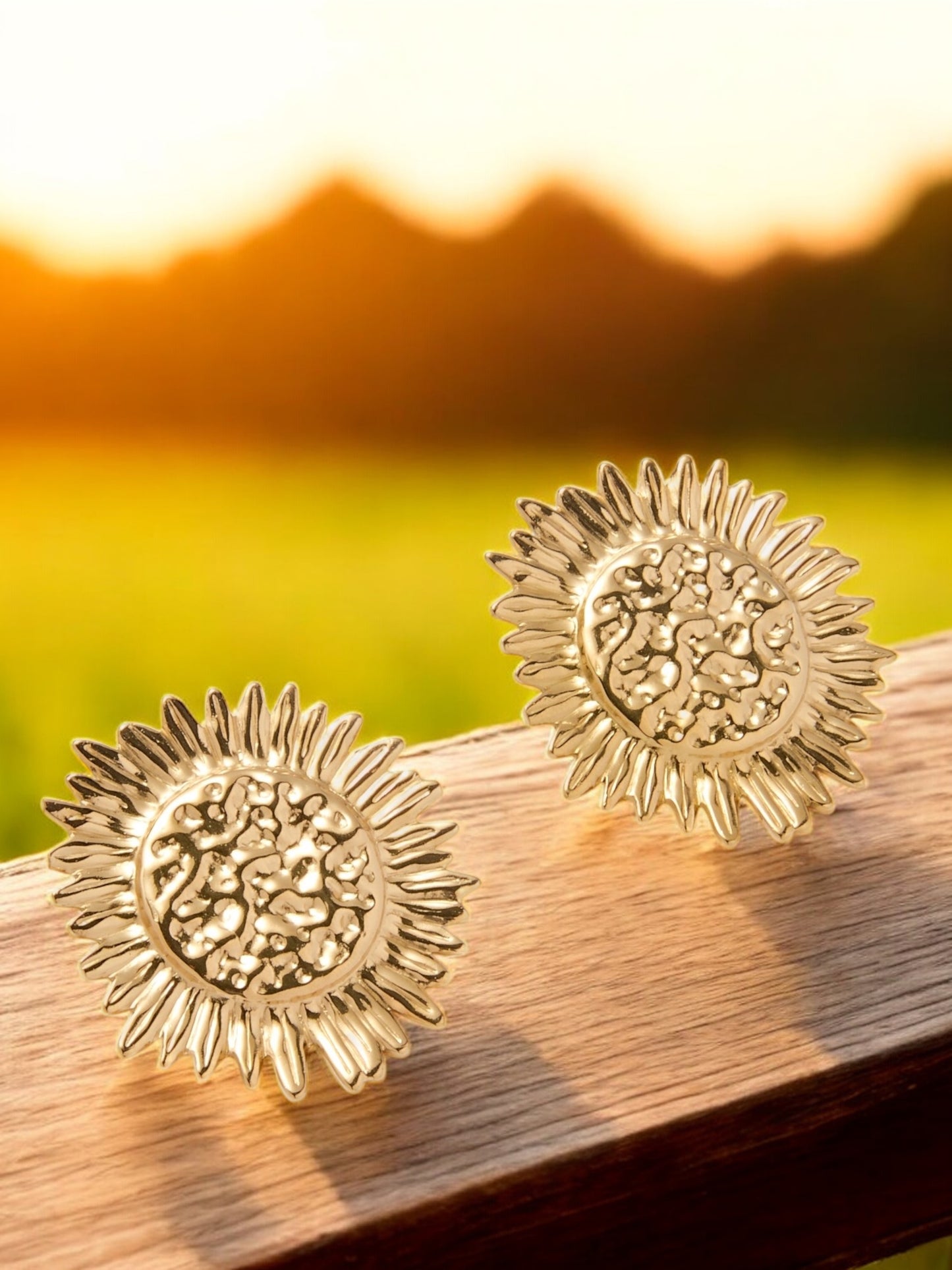 Boucles d'oreilles ZENITH